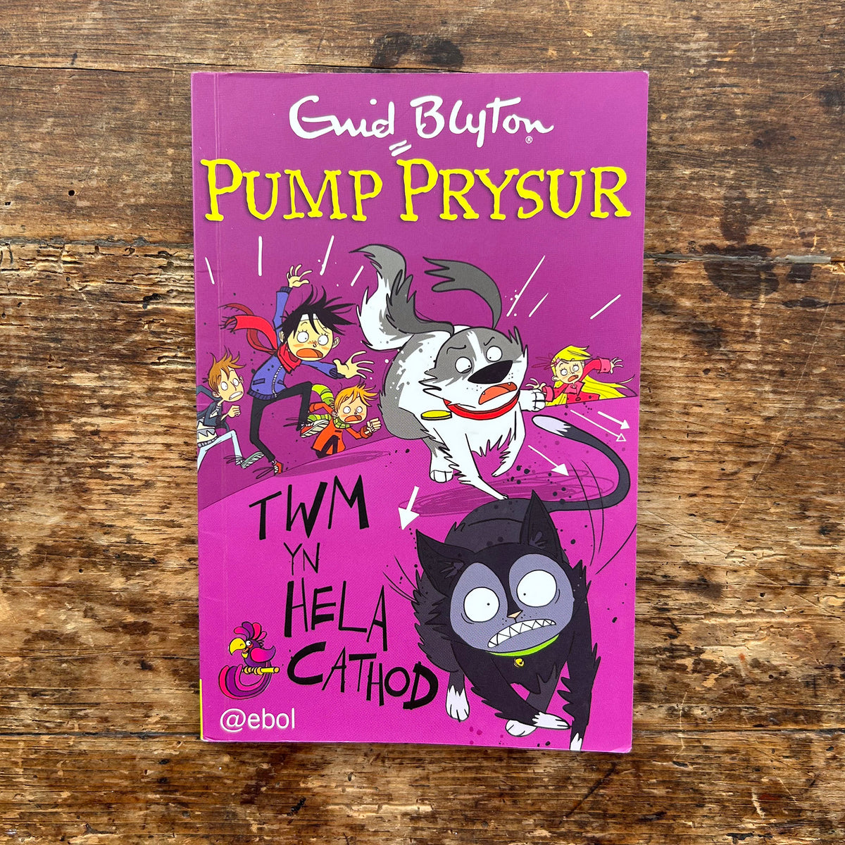 Twm yn Hela Cathod - Pump Prysur - Enid Blyton (Preloved)