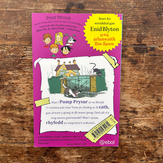 Twm yn Hela Cathod - Pump Prysur - Enid Blyton (Preloved)