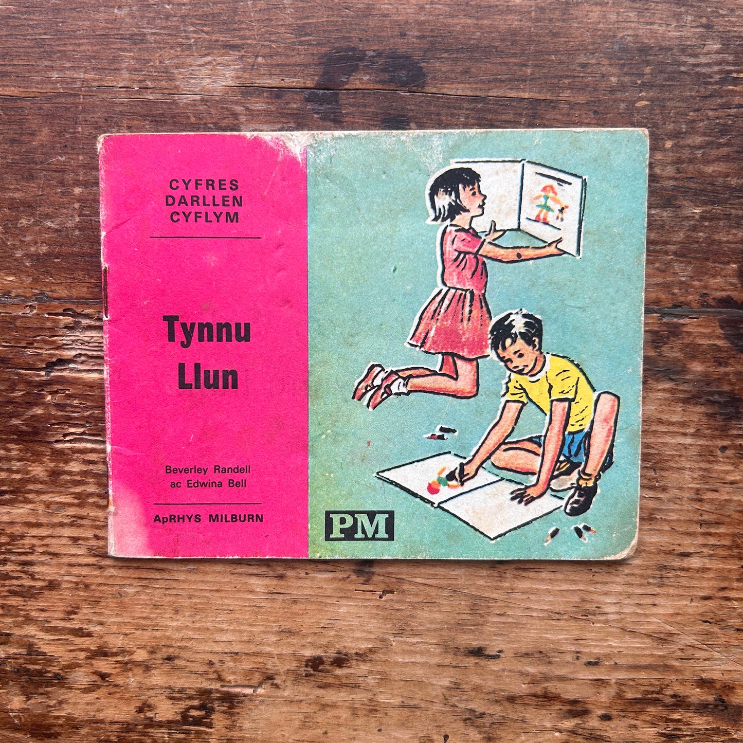 Tynnu Llun - Beverley Randell ac Edwina Bell - 1960s (Preloved)