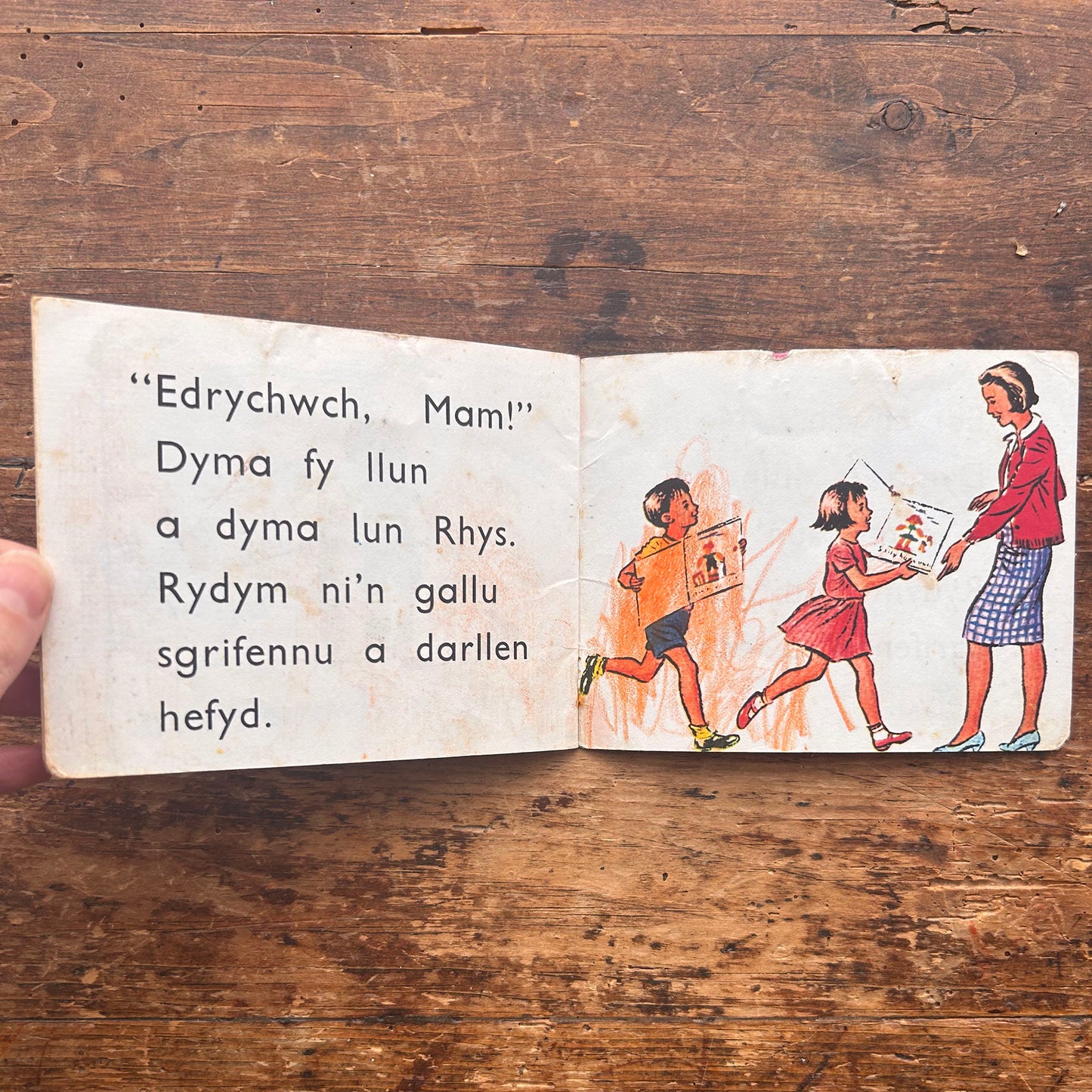 Tynnu Llun - Beverley Randell ac Edwina Bell - 1960s (Preloved)