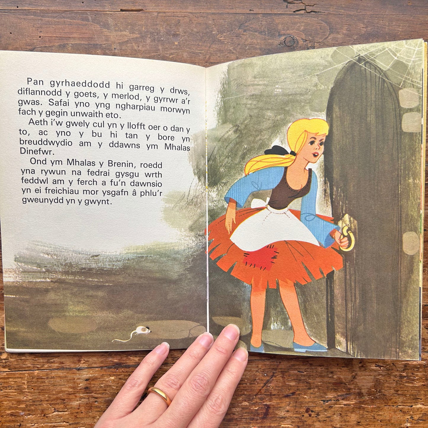 Ulw-Ela - Cinderella - Vintage Welsh Book (Preloved)