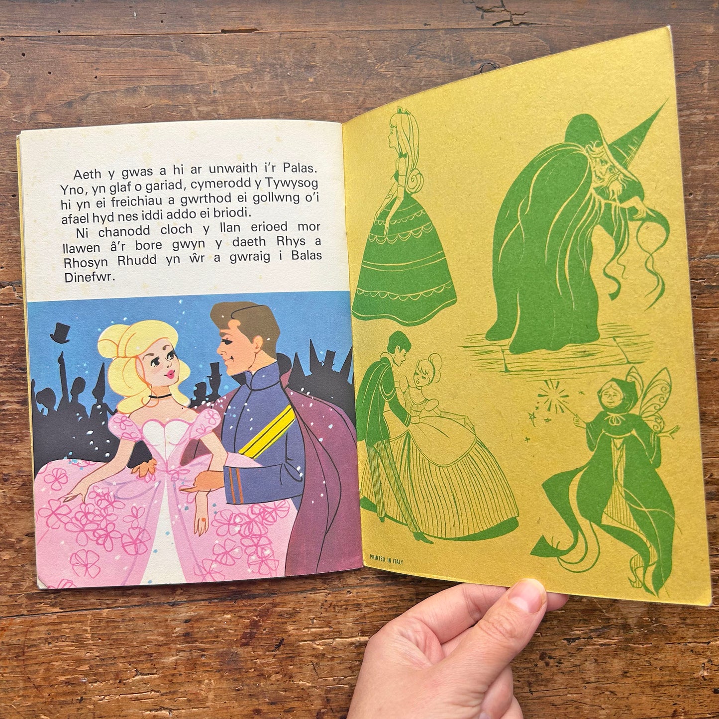 Ulw-Ela - Cinderella - Vintage Welsh Book (Preloved)