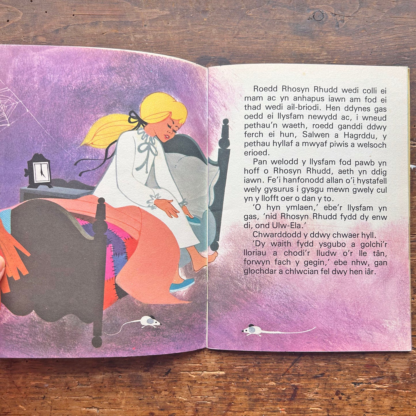 Ulw-Ela - Cinderella - Vintage Welsh Book (Preloved)