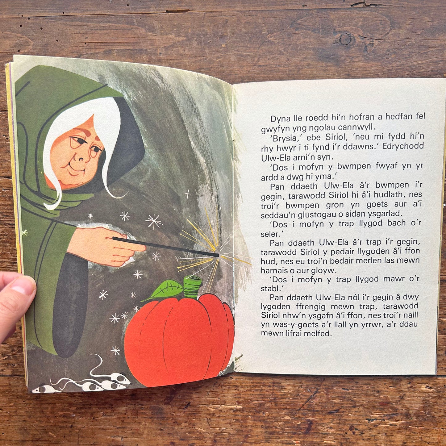 Ulw-Ela - Cinderella - Vintage Welsh Book (Preloved)