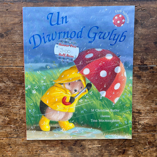 Un Diwrnod Gwlyb - Llyfr Sgleiniog (Preloved)