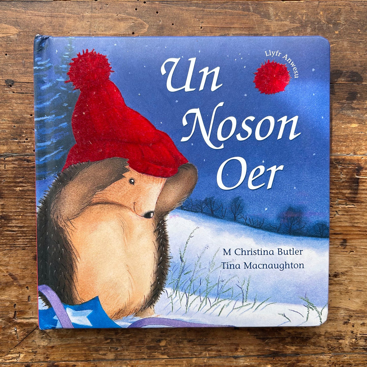 Un Noson Oer - Llyfr Anwesu - M Christina Butler & Tina Macnaughton (Preloved)