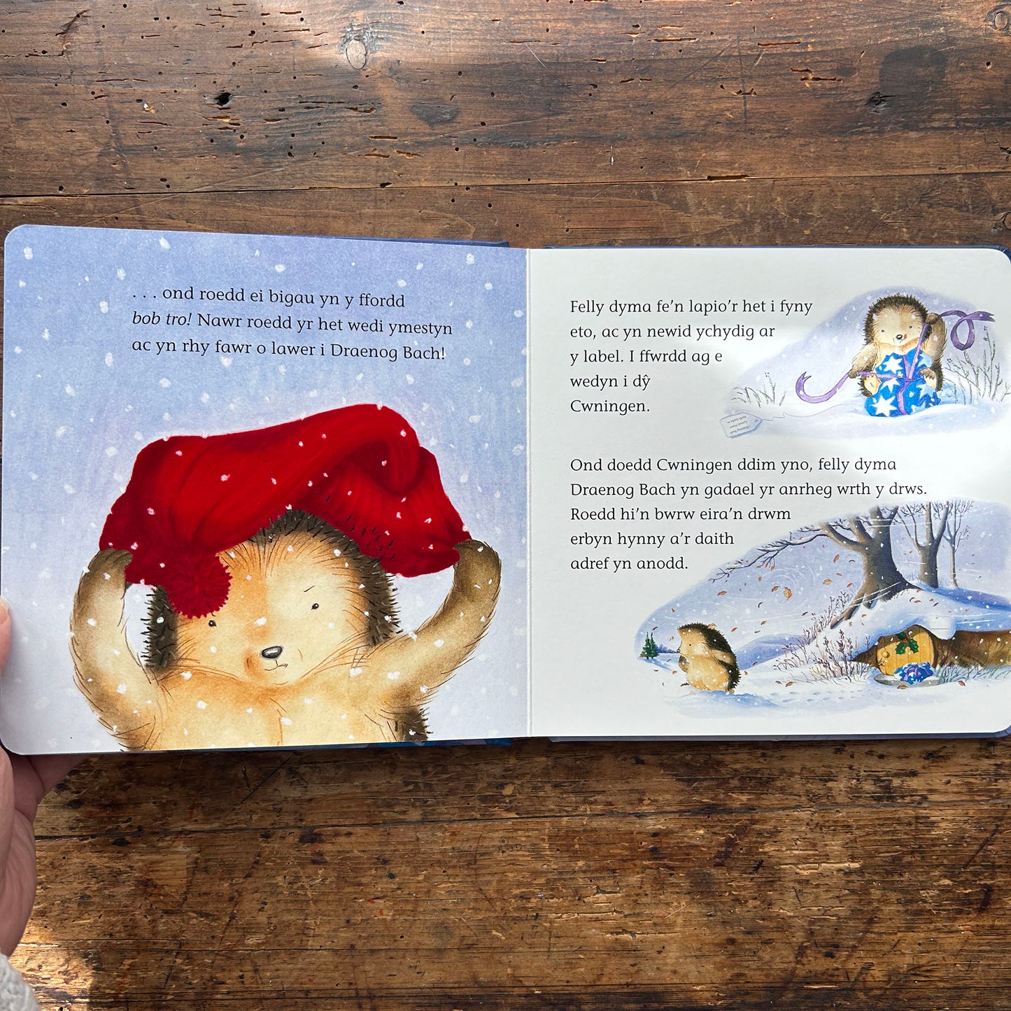 Un Noson Oer - Llyfr Anwesu - M Christina Butler & Tina Macnaughton (Preloved)