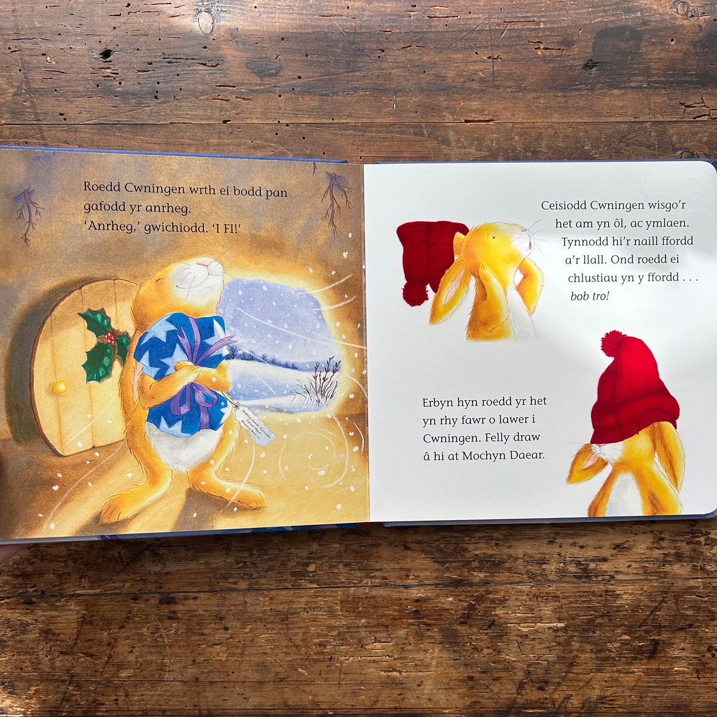 Un Noson Oer - Llyfr Anwesu - M Christina Butler & Tina Macnaughton (Preloved)