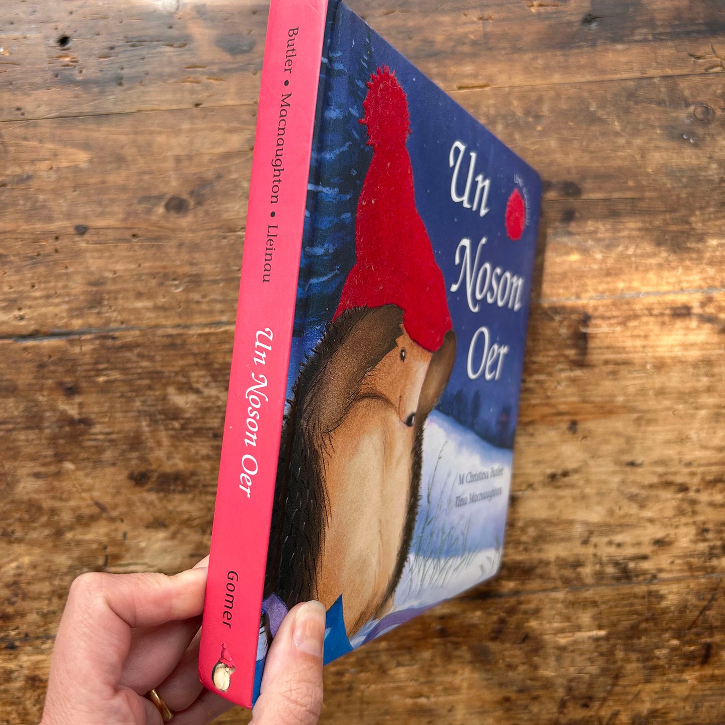 Un Noson Oer - Llyfr Anwesu - M Christina Butler & Tina Macnaughton (Preloved)