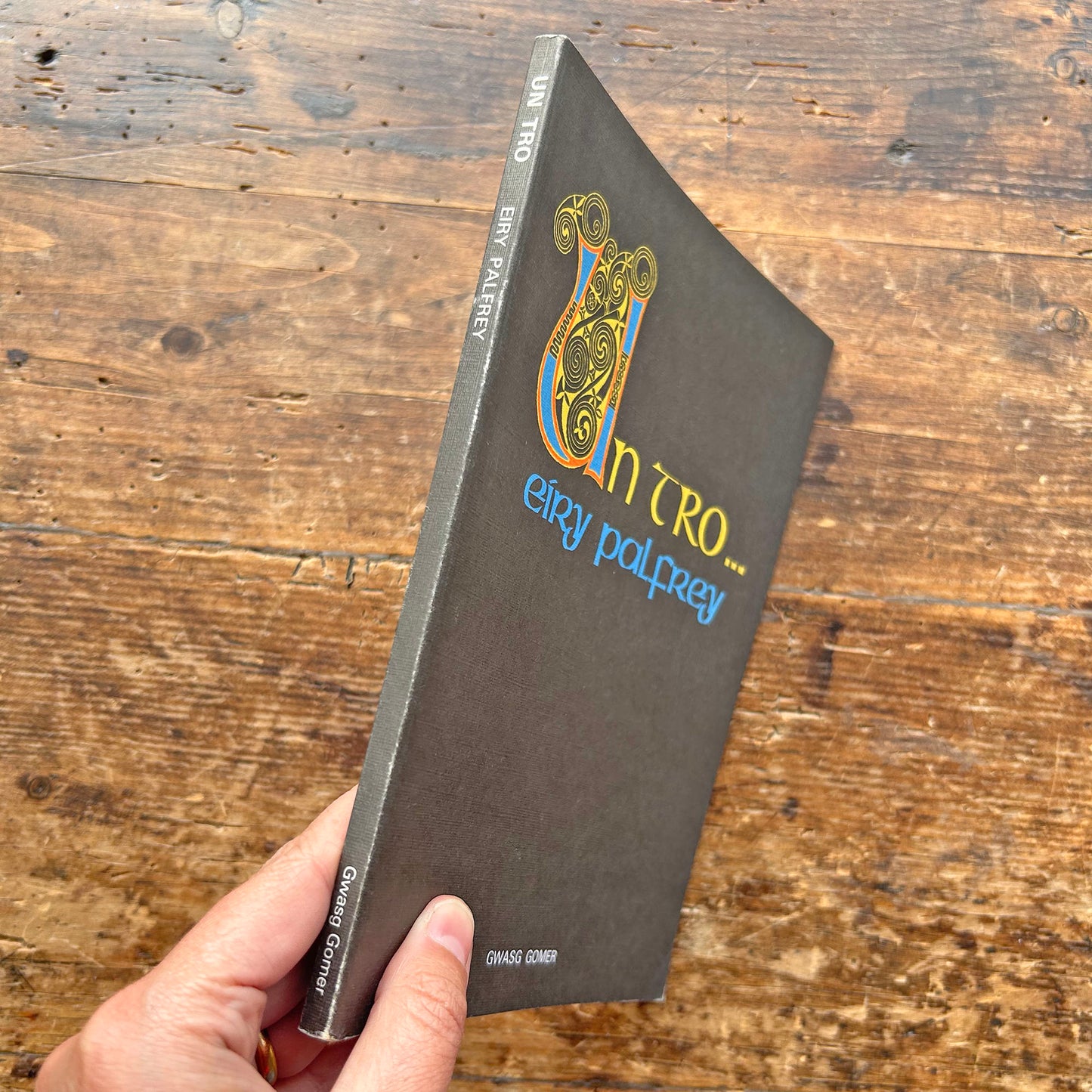 Un Tro - Eiry Palfrey - Chwedlau Celtaidd 1979 (Preloved)