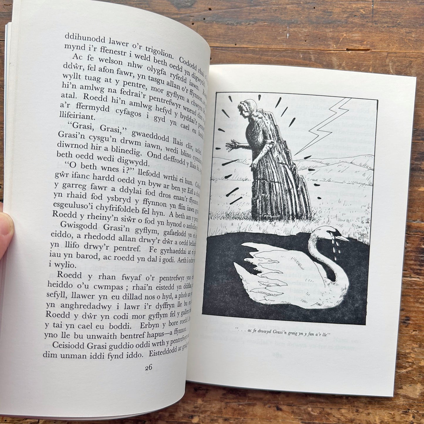 Un Tro - Eiry Palfrey - Chwedlau Celtaidd 1979 (Preloved)