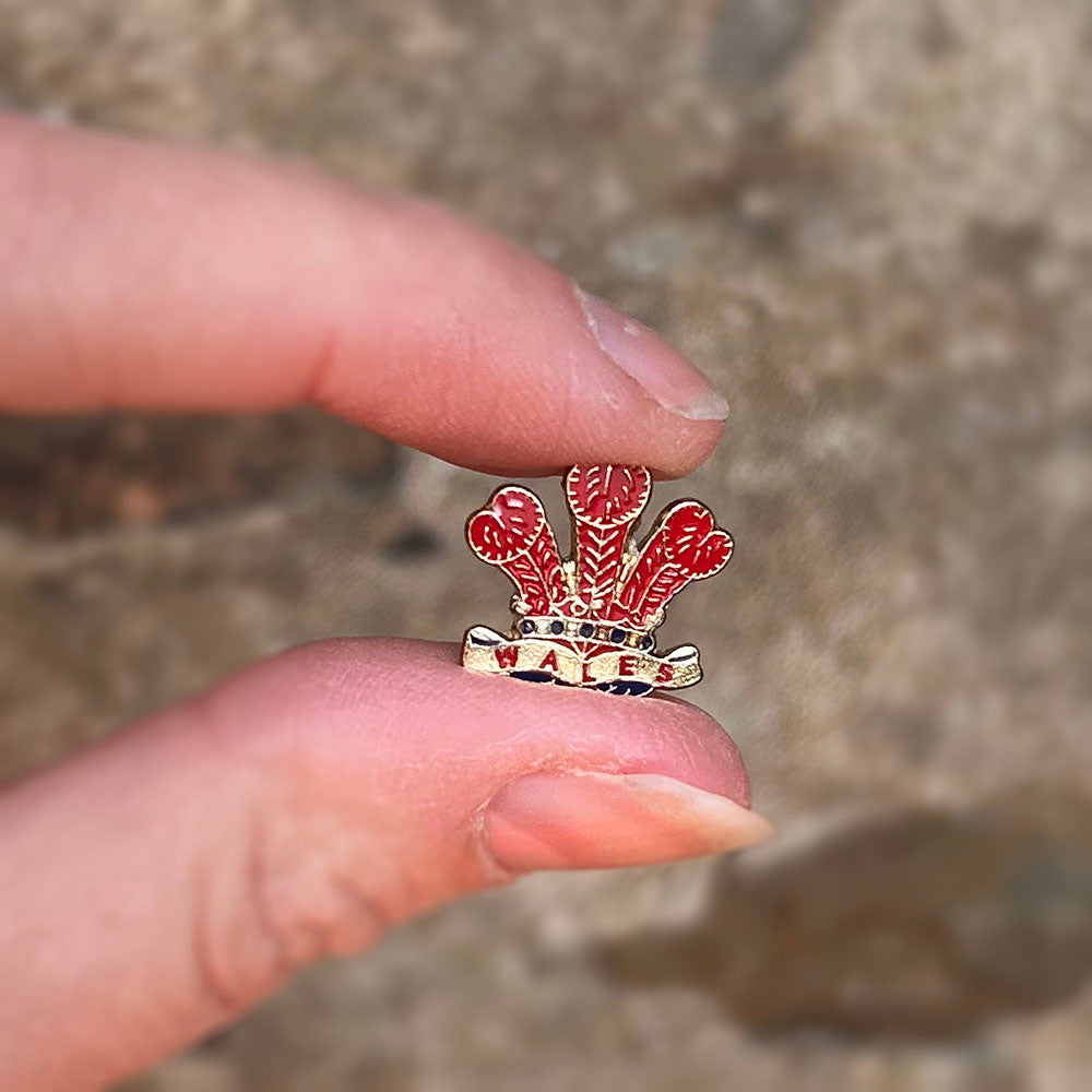 Lapel Pin / Badge - Vintage - Fleur de Lis - Wales (Preloved)
