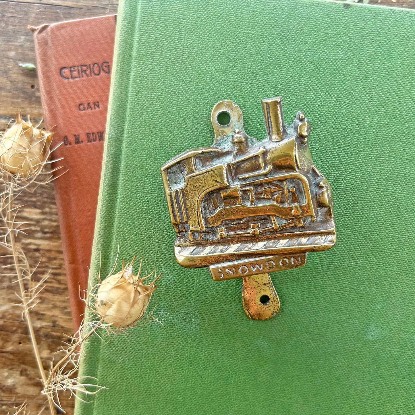 Vintage Brass Door Knocker - Snowdon Train (Preloved)