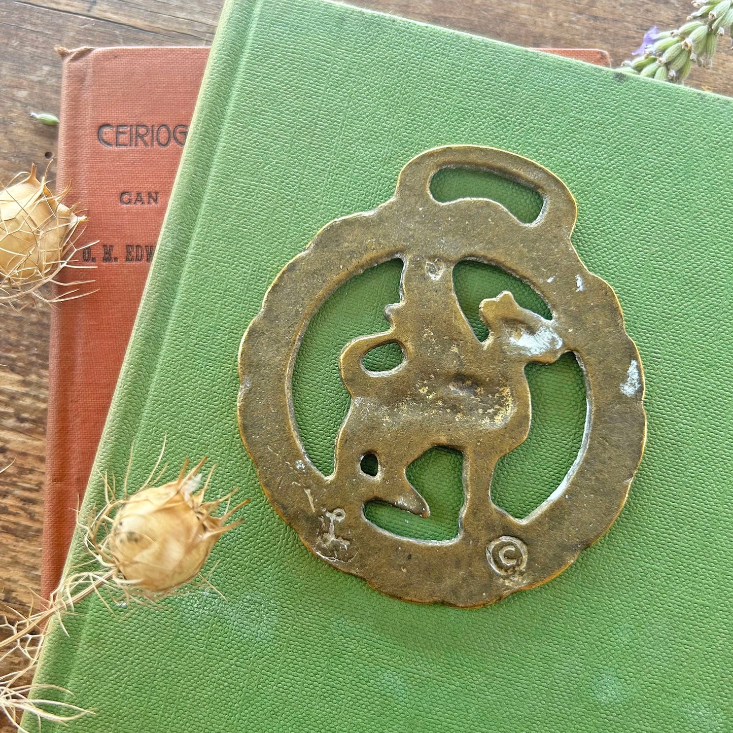 Vintage Horse Brass / Medallion - Abergavenny - Gateway to Wales (Preloved)