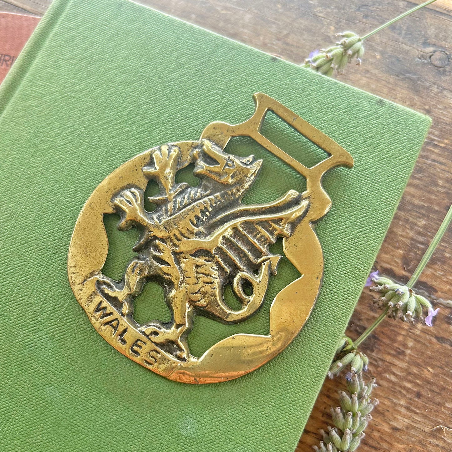 Vintage Horse Brass / Medallion - Dragon / Wales (Preloved)