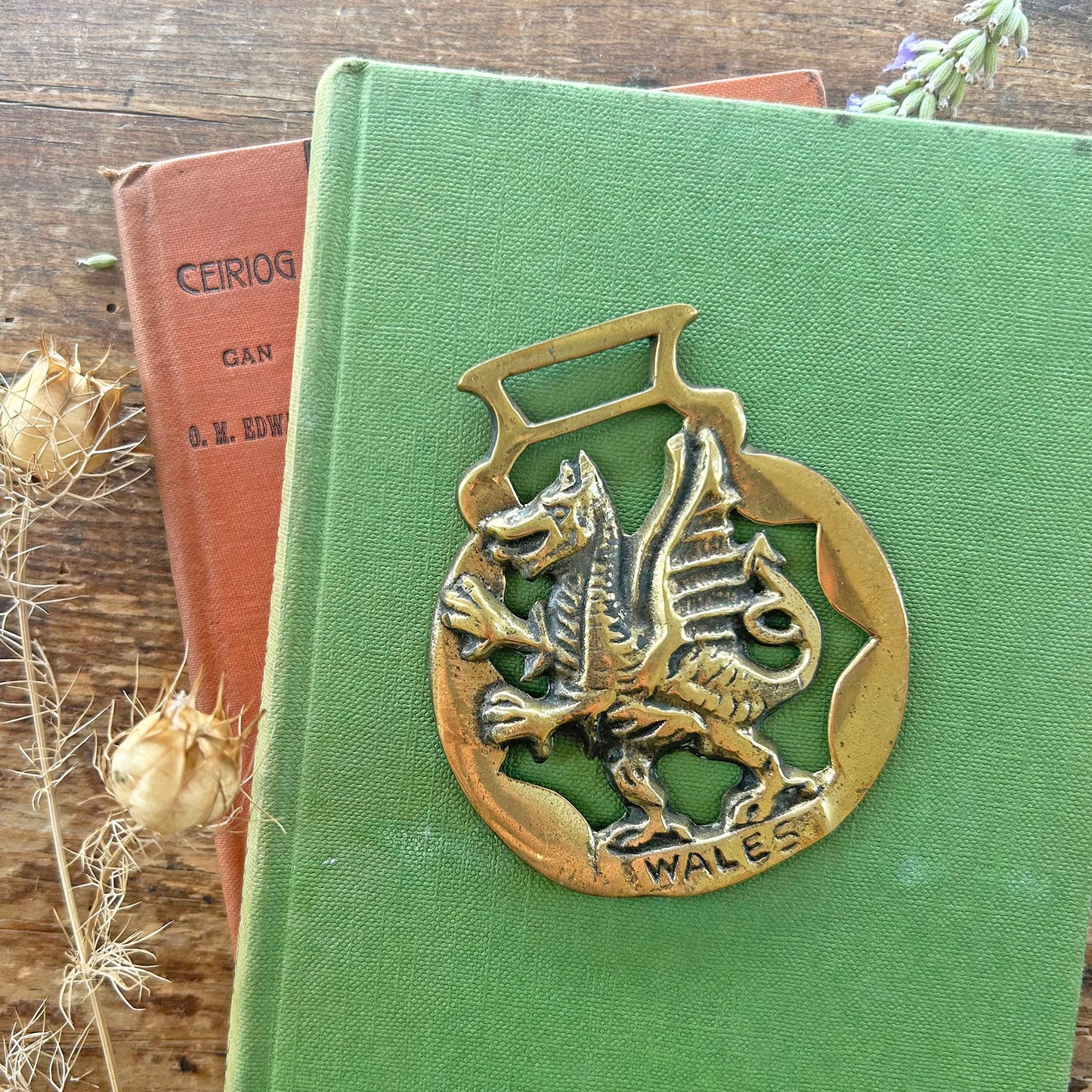 Vintage Horse Brass / Medallion - Dragon / Wales (Preloved)