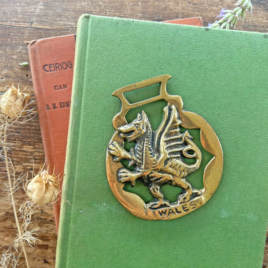 Vintage Horse Brass / Medallion - Dragon / Wales (Preloved)