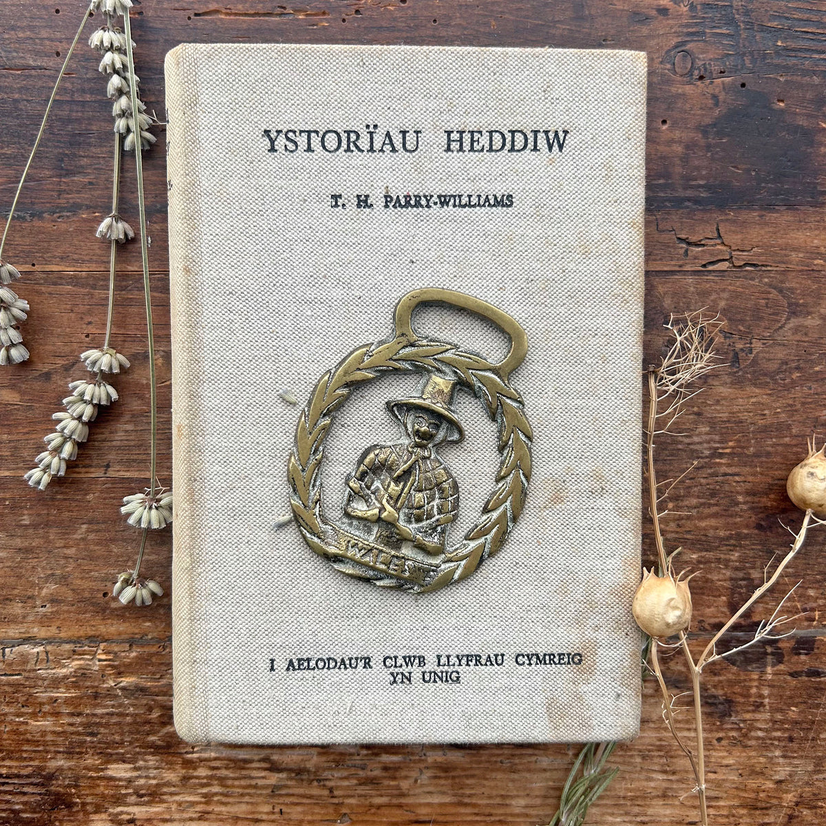 Vintage Horse Brass / Medallion - Welsh Lady - Wales (Preloved)