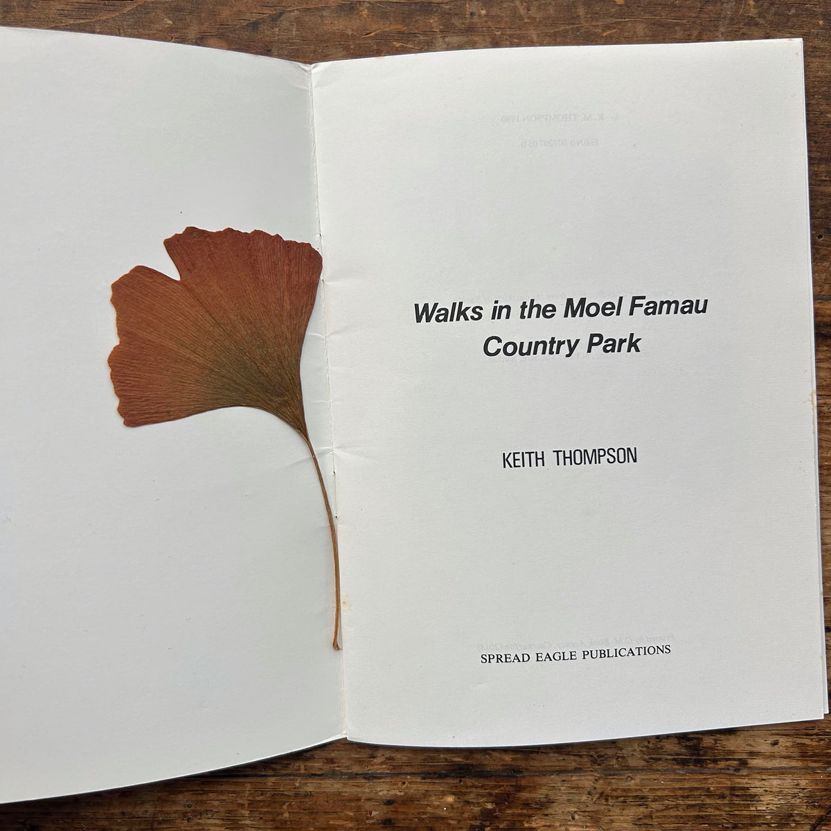 Walks in the Moel Famau Country Park - 1980 (Preloved)