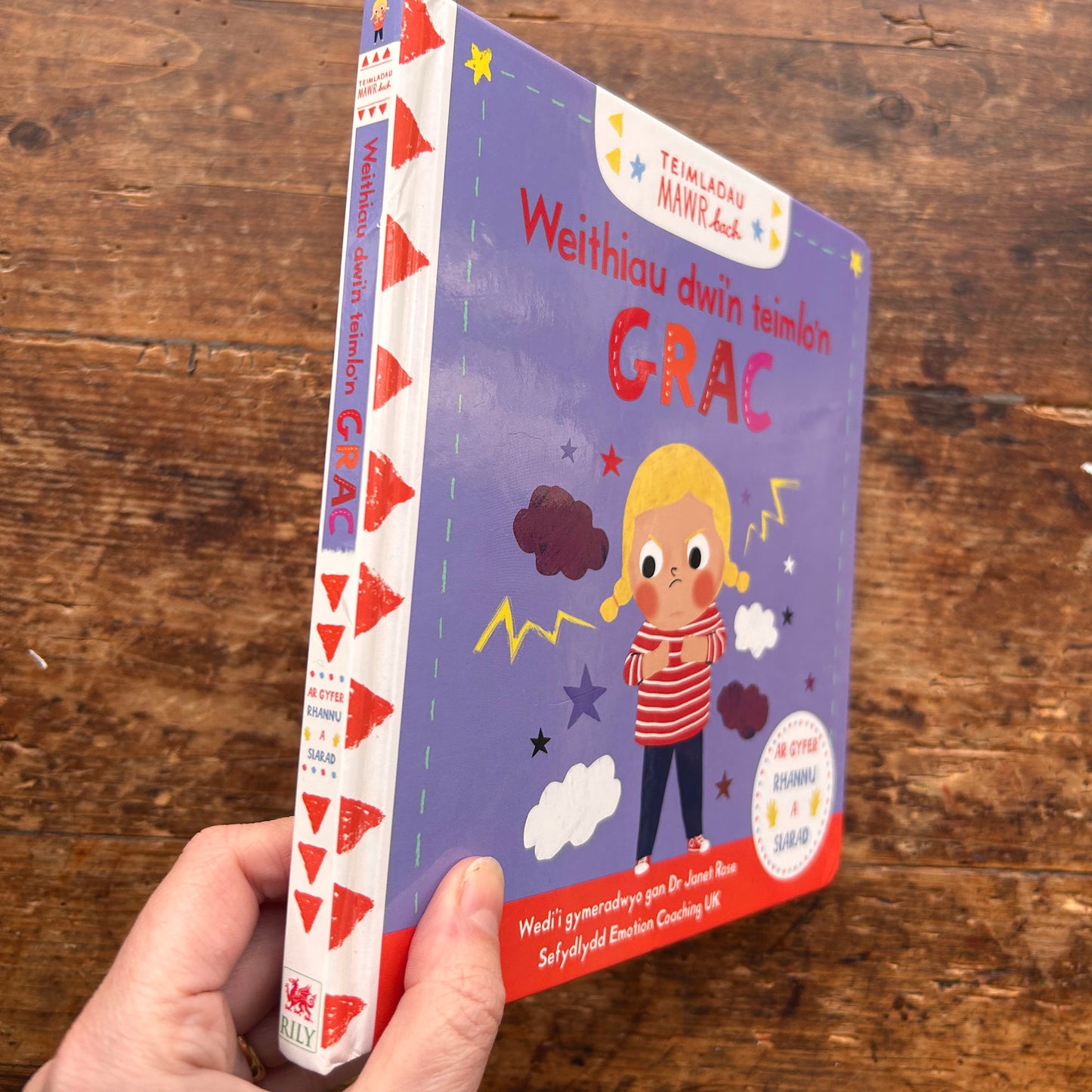 Weithiau Dwi'n Teimlo'n Grac - Cyfres Teimladau Mawr Bach (Preloved)