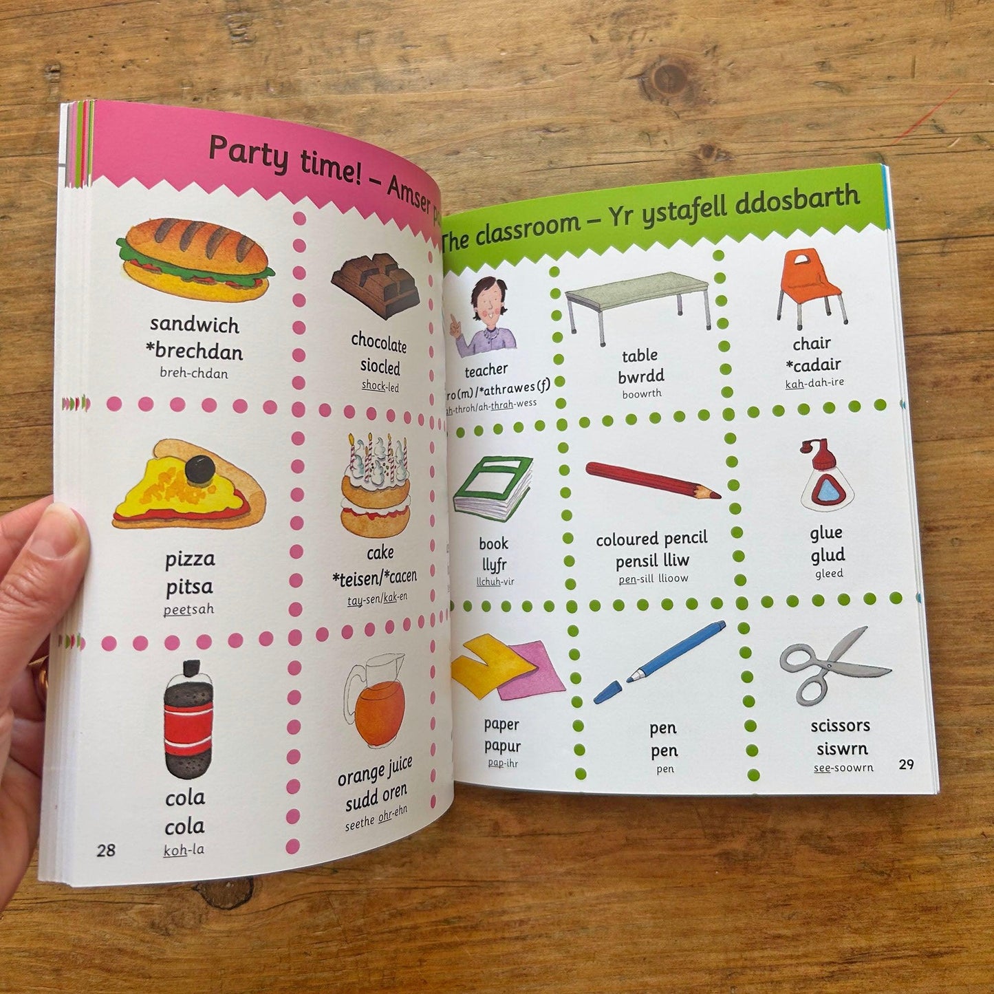 Welsh - English Picture Dictionary (Preloved)