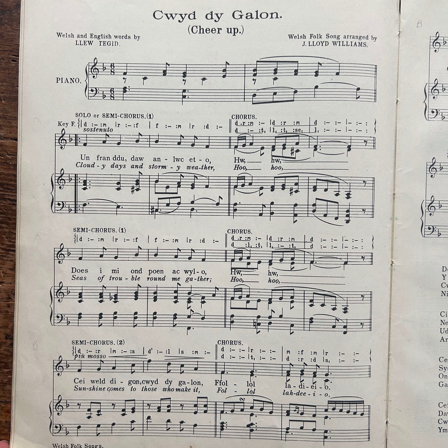 Welsh Folk Songs - J. Lloyd Williams & L.D. Jones - Part 1 (Preloved)