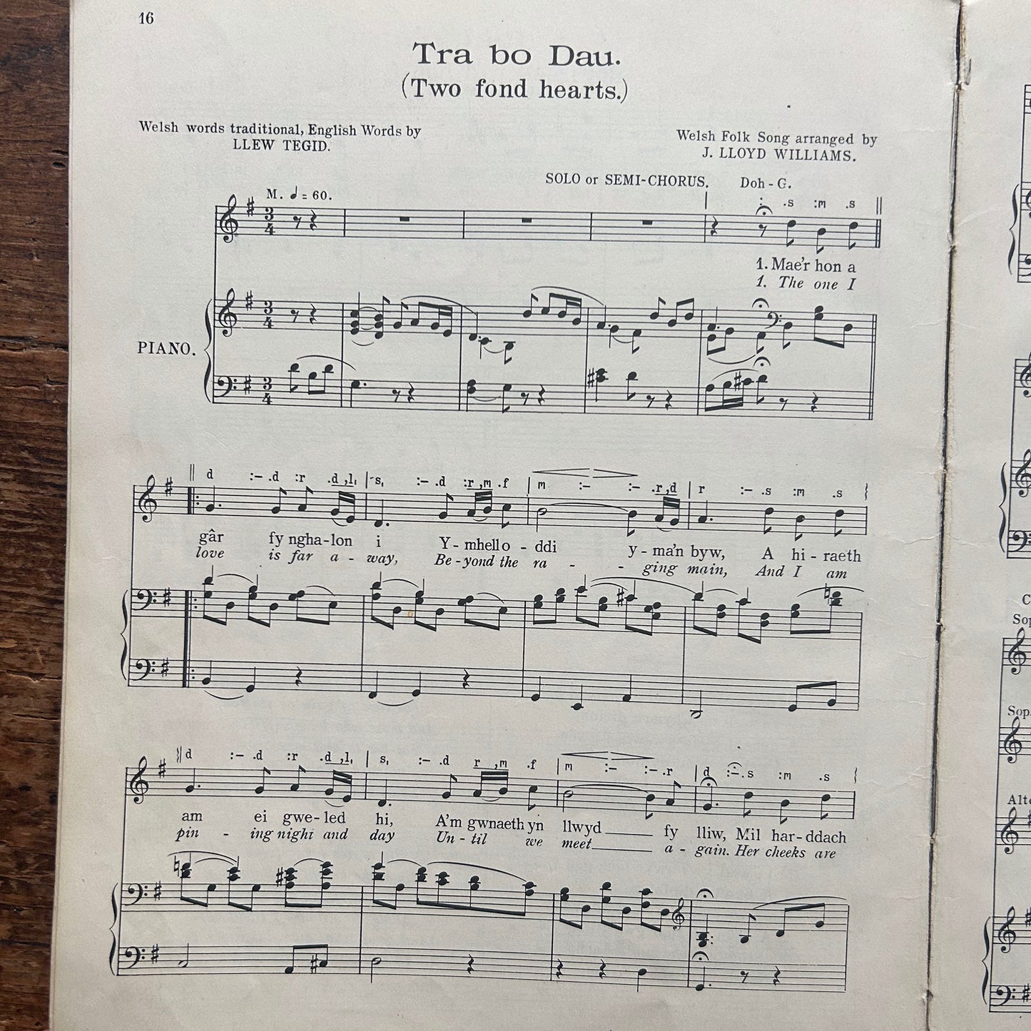 Welsh Folk Songs - J. Lloyd Williams & L.D. Jones - Part 1 (Preloved)