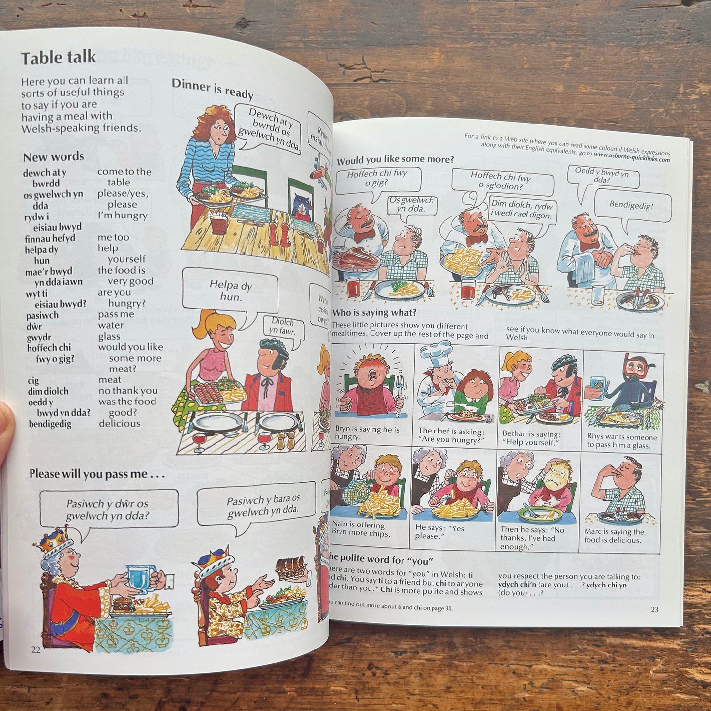 Welsh for Beginners - With CD - Usborne Internet Linked (Preloved)