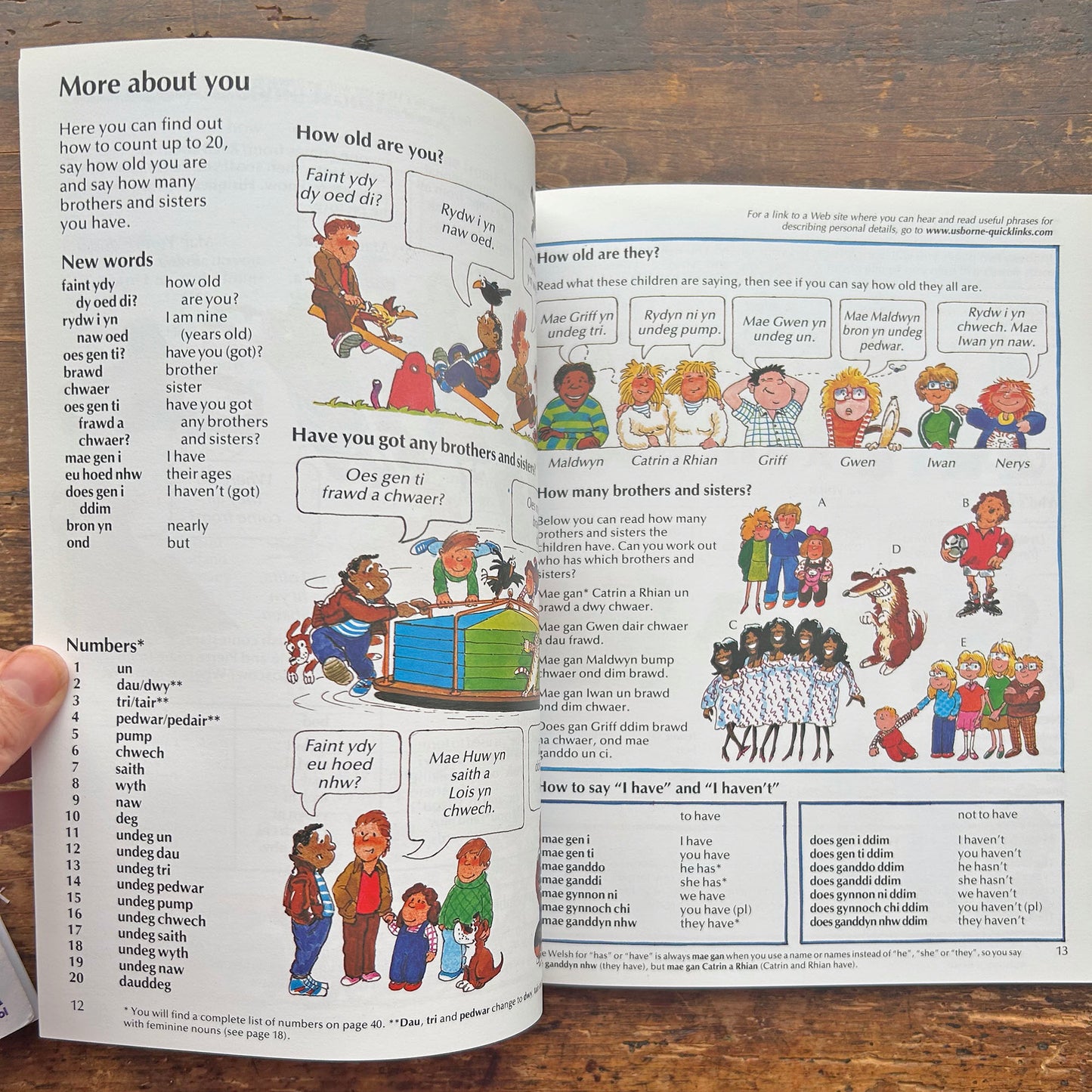 Welsh for Beginners - With CD - Usborne Internet Linked (Preloved)