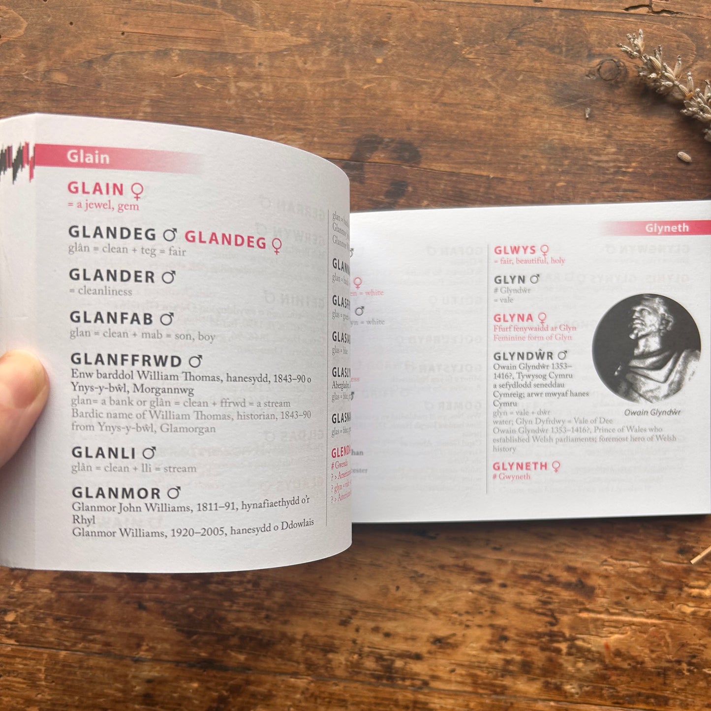 Enwau Cymraeg i Blant - Enwau Cymraeg i Blant