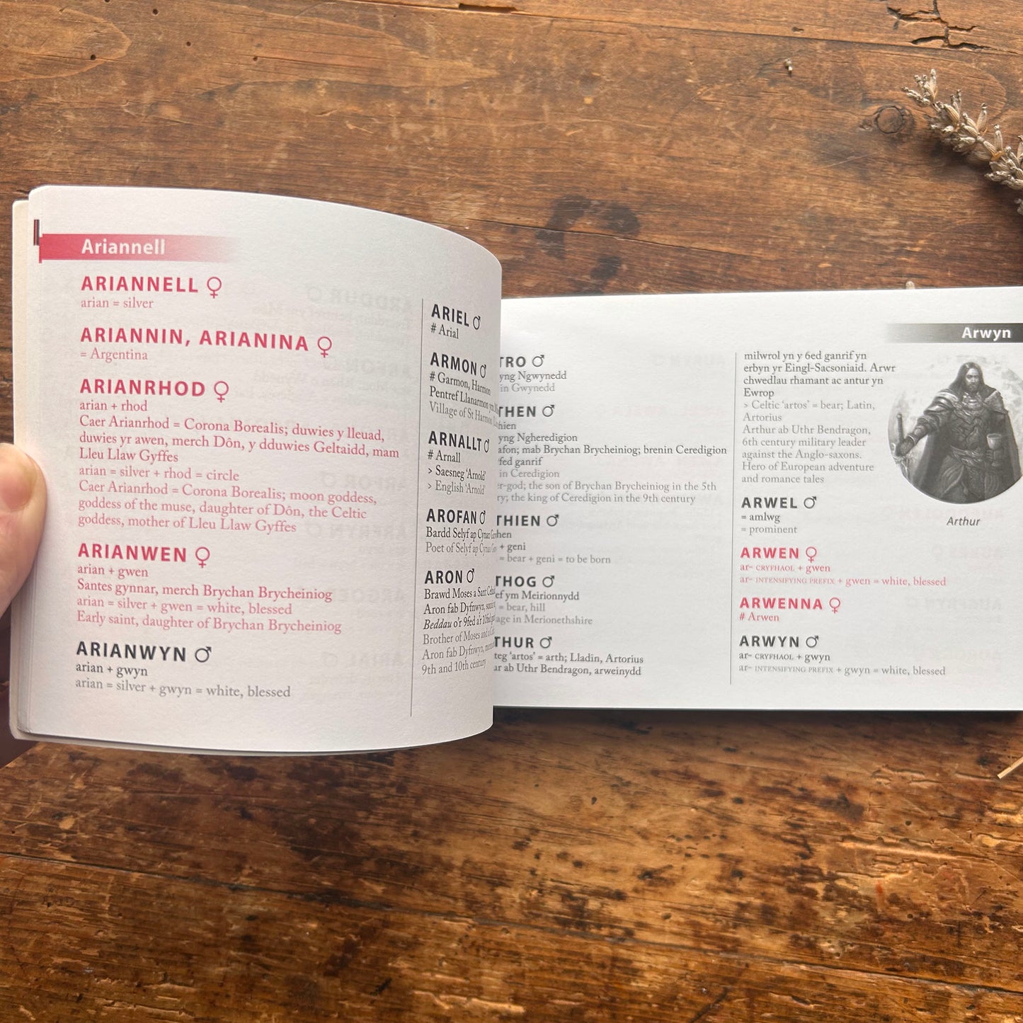 Enwau Cymraeg i Blant - Enwau Cymraeg i Blant