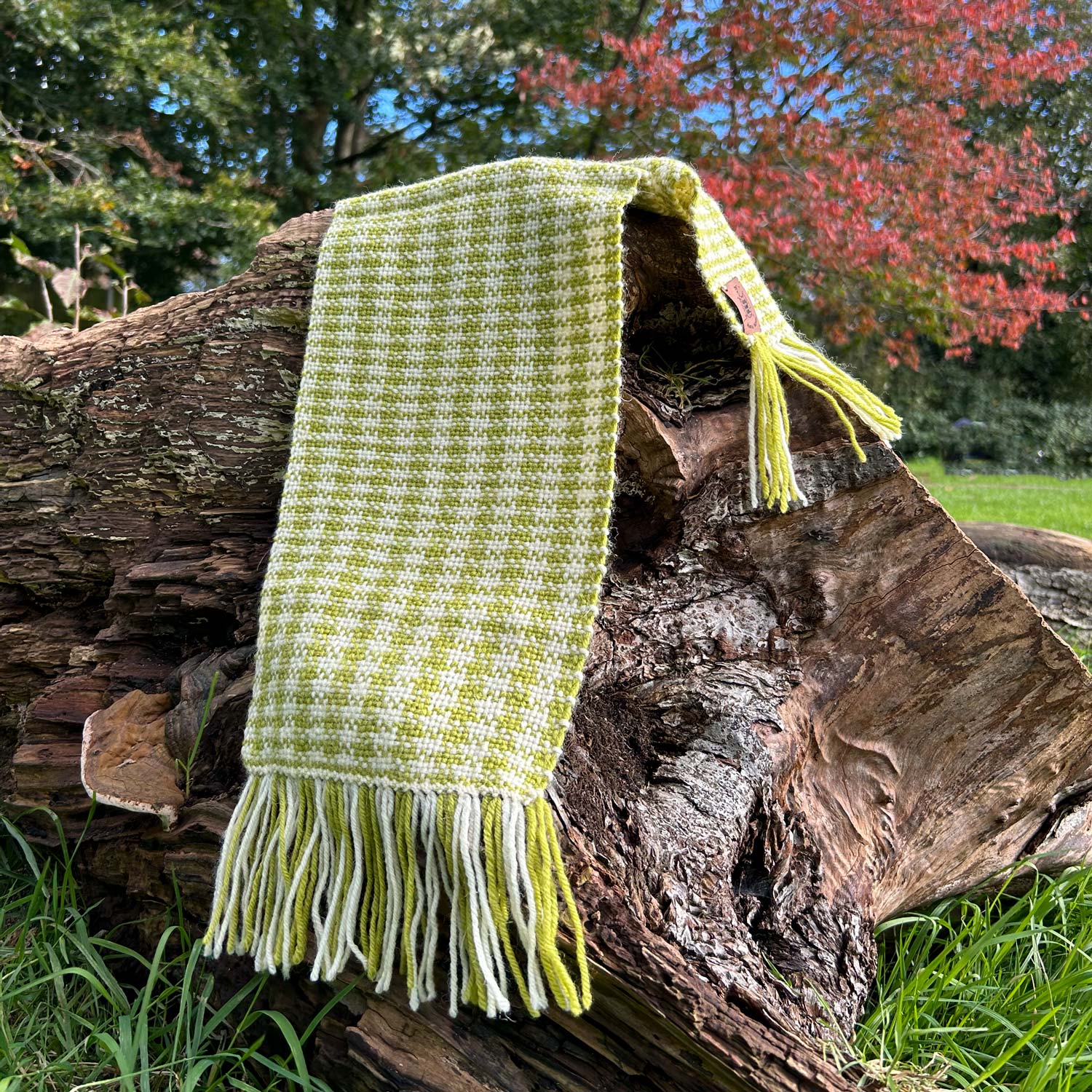 Scarf - 100% Wool - Handwoven - Welsh Checked - Green & Cream