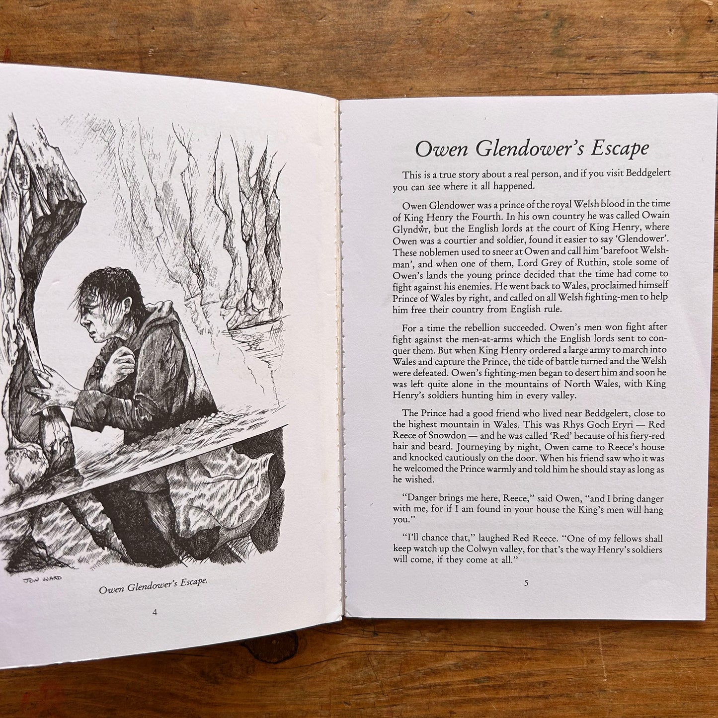 Welsh Tales For Children - Showell Styles - 2018 (Preloved)