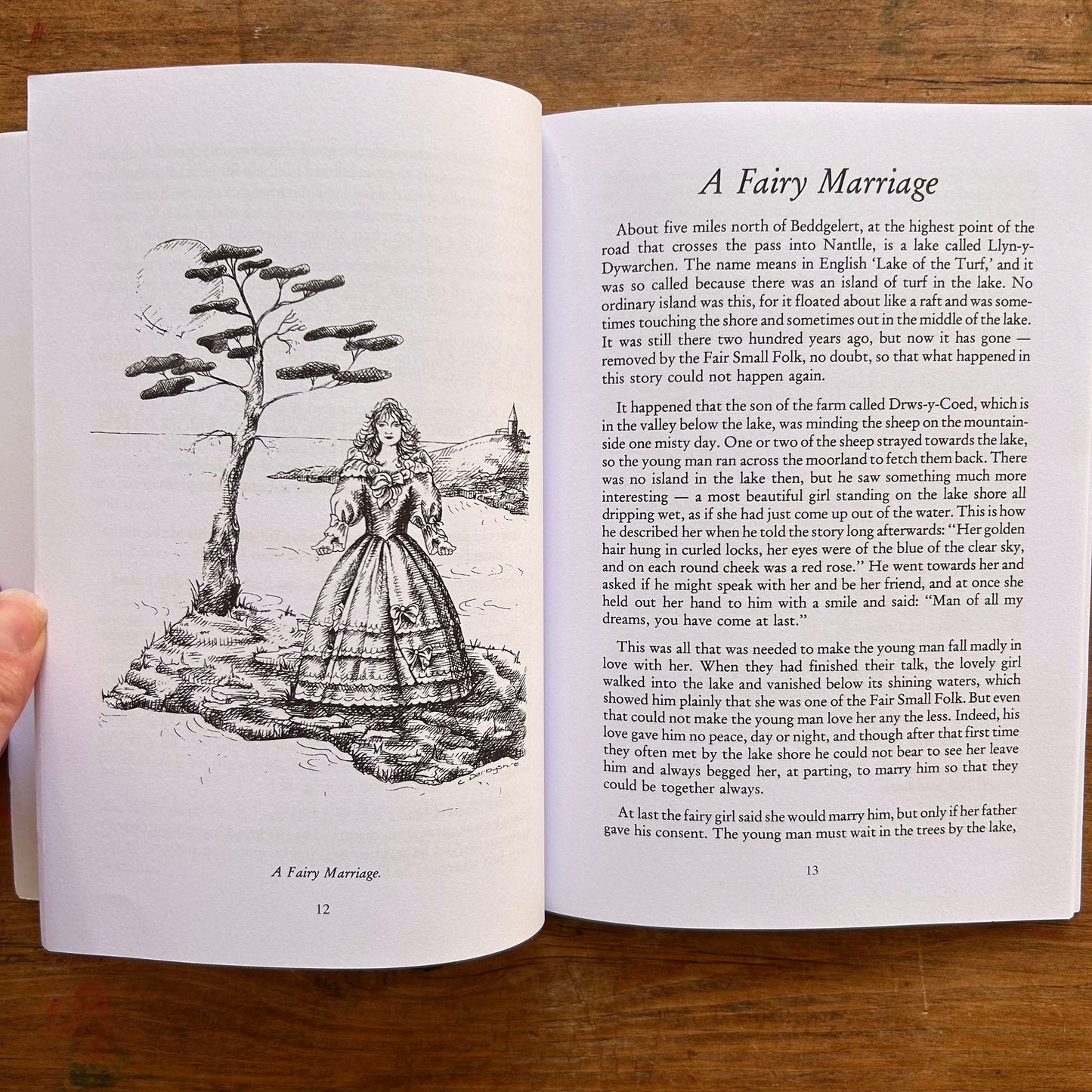 Welsh Tales For Children - Showell Styles - 2018 (Preloved)