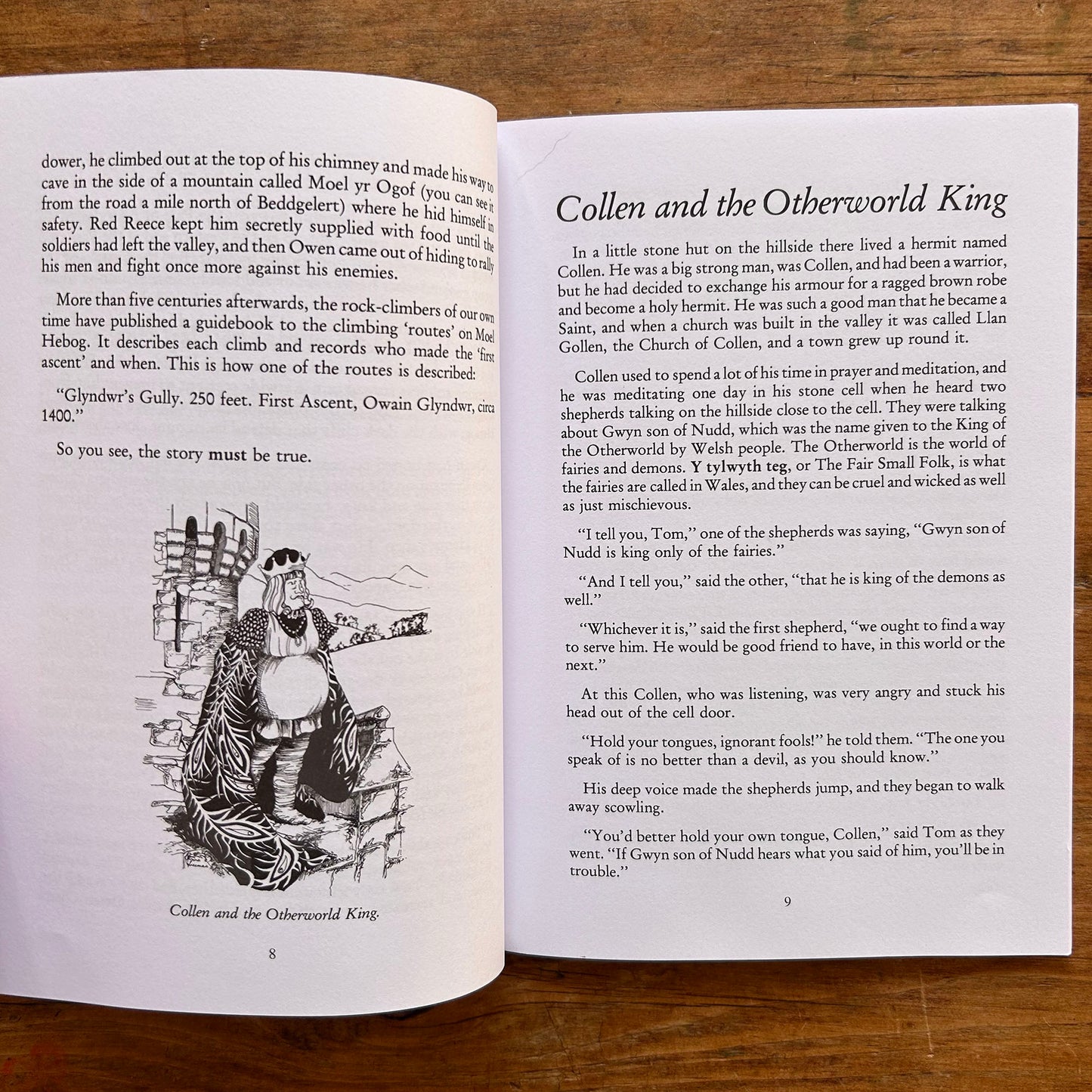 Welsh Tales For Children - Showell Styles - 2018 (Preloved)