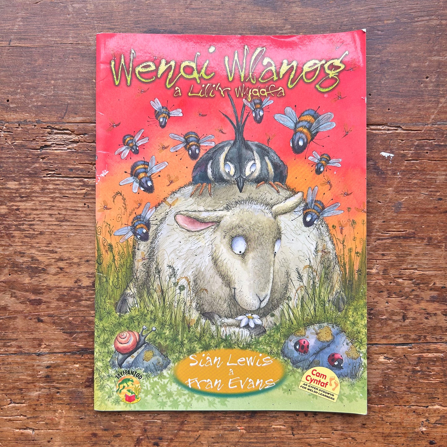 Wendi Wlanog a Lili'r Wyddfa: Cyfres Llyffantod (Preloved)