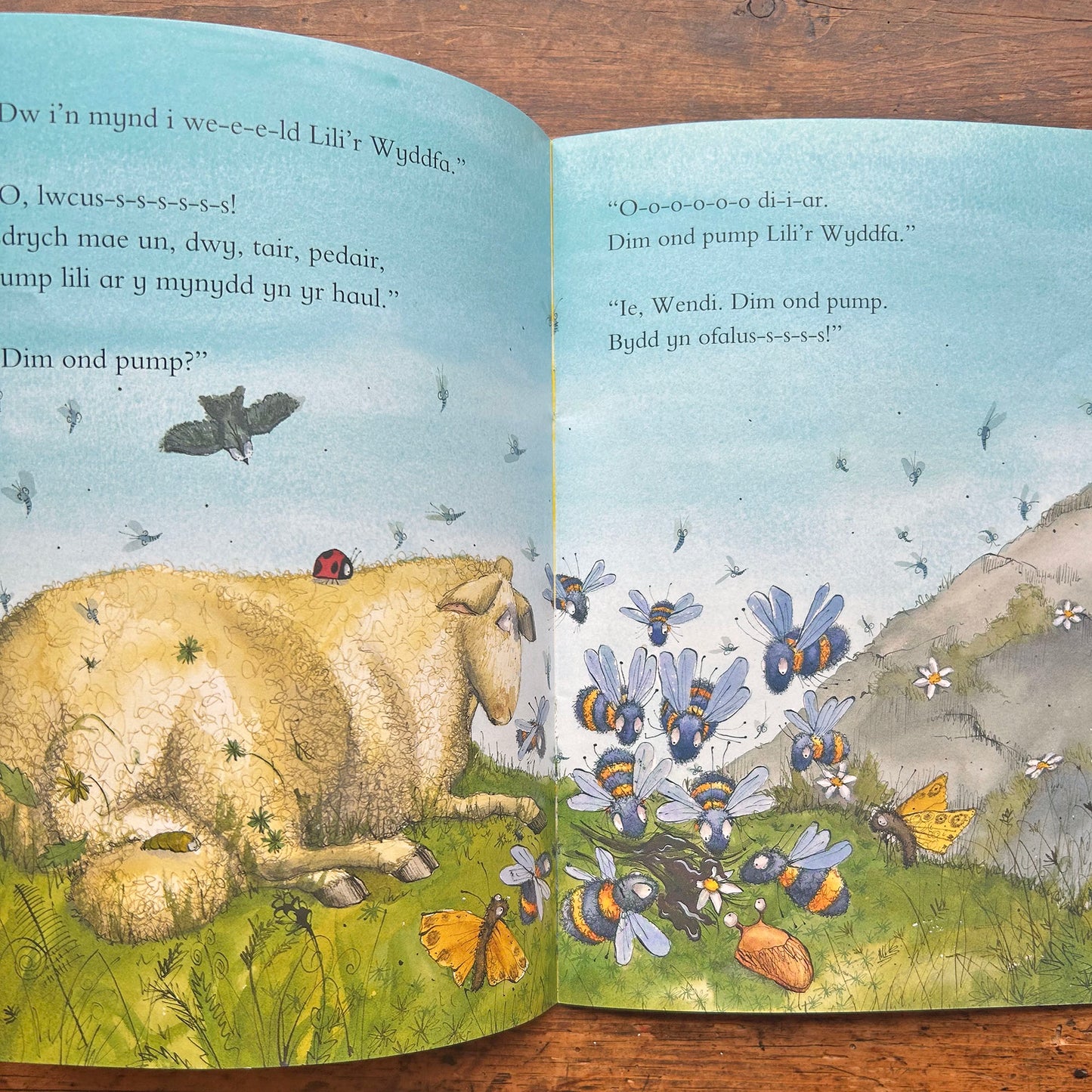 Wendi Wlanog a Lili'r Wyddfa: Cyfres Llyffantod (Preloved)