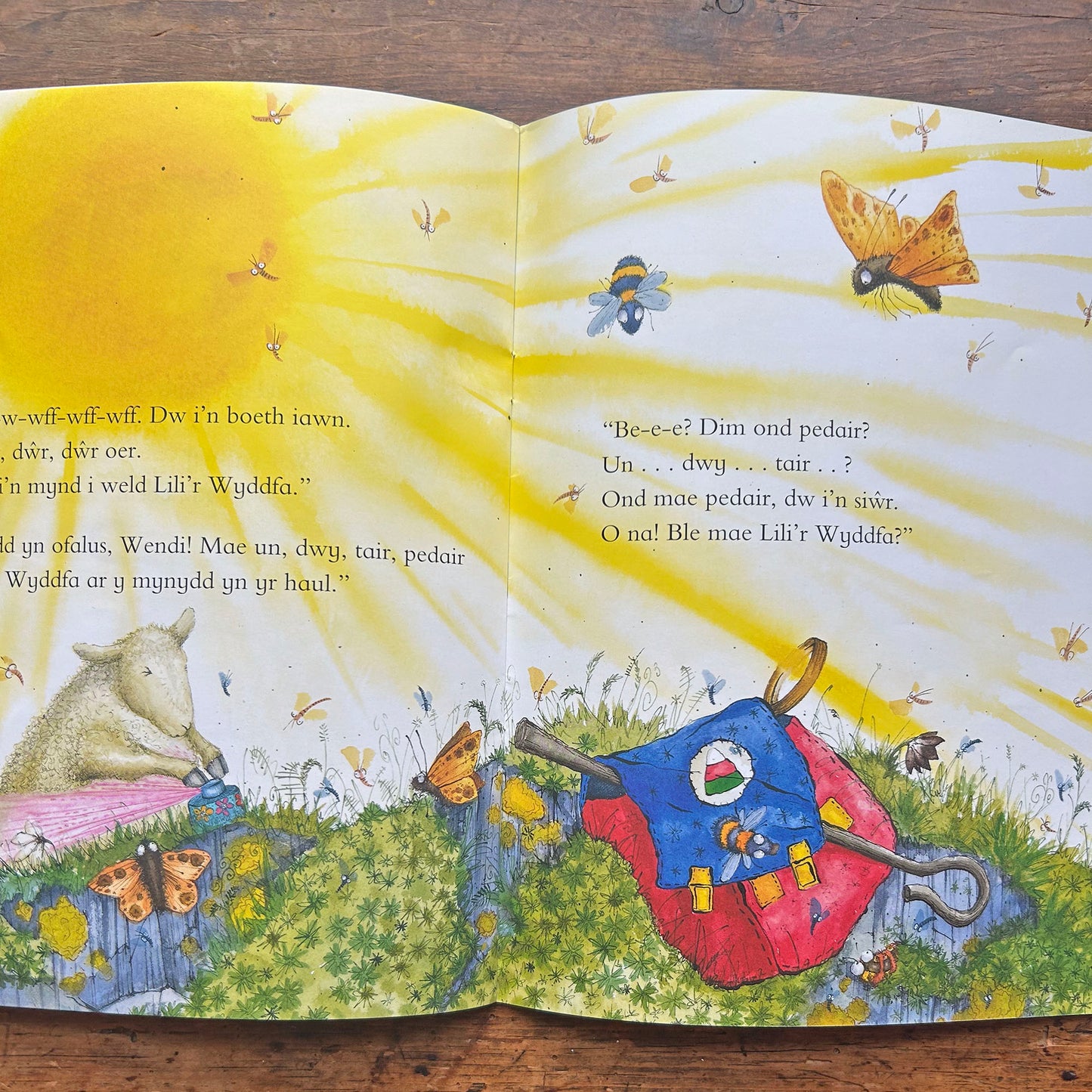 Wendi Wlanog a Lili'r Wyddfa: Cyfres Llyffantod (Preloved)