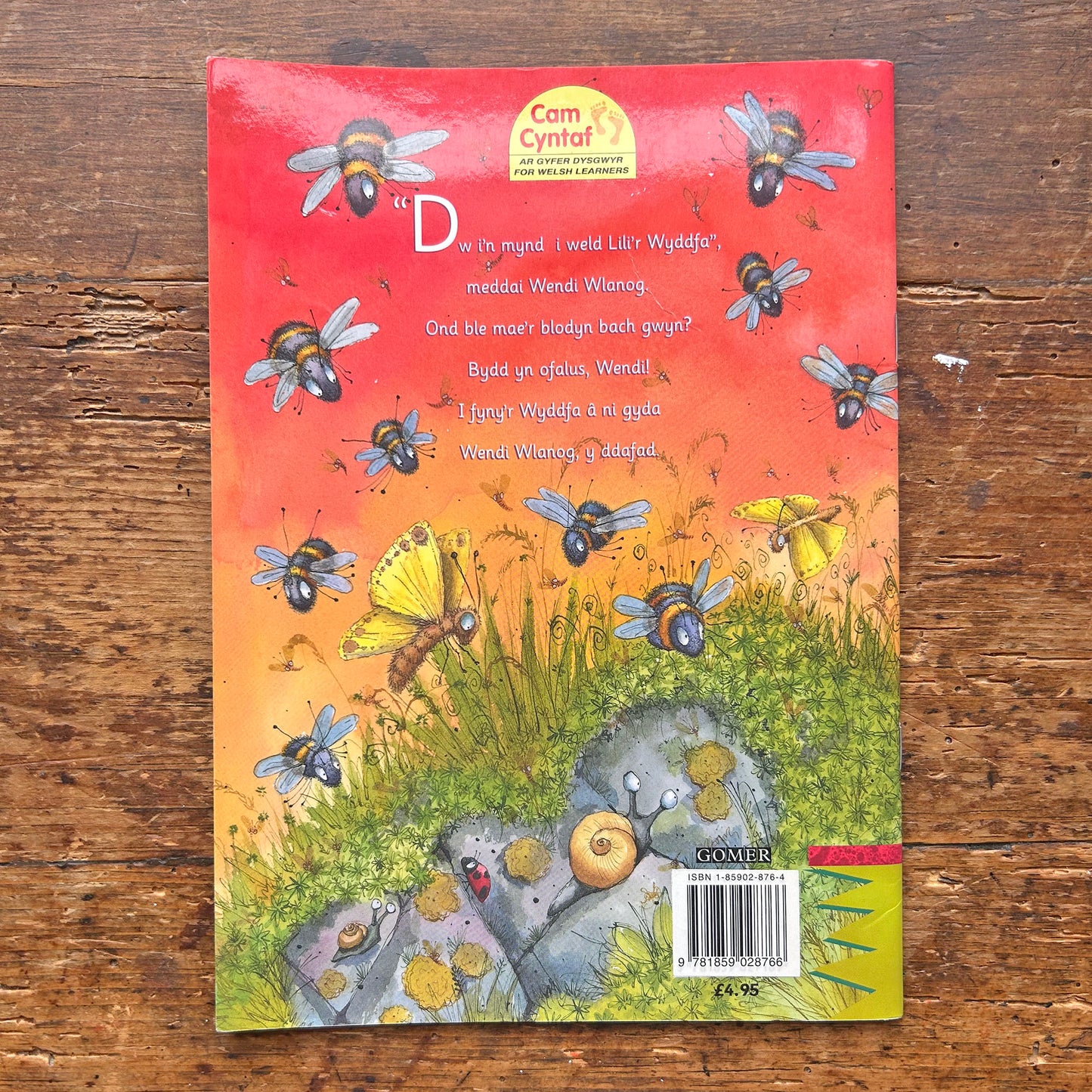 Wendi Wlanog a Lili'r Wyddfa: Cyfres Llyffantod (Preloved)