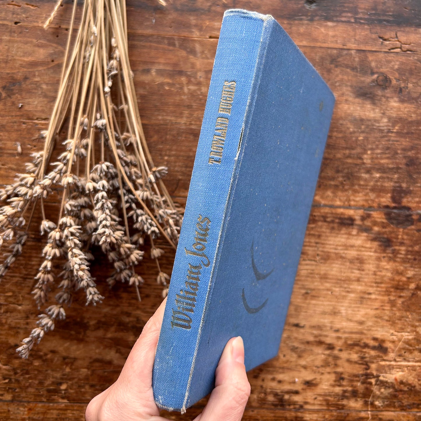 William Jones - Nofel Gan T. Rowland Hughes - 1944 1st edition (Preloved)