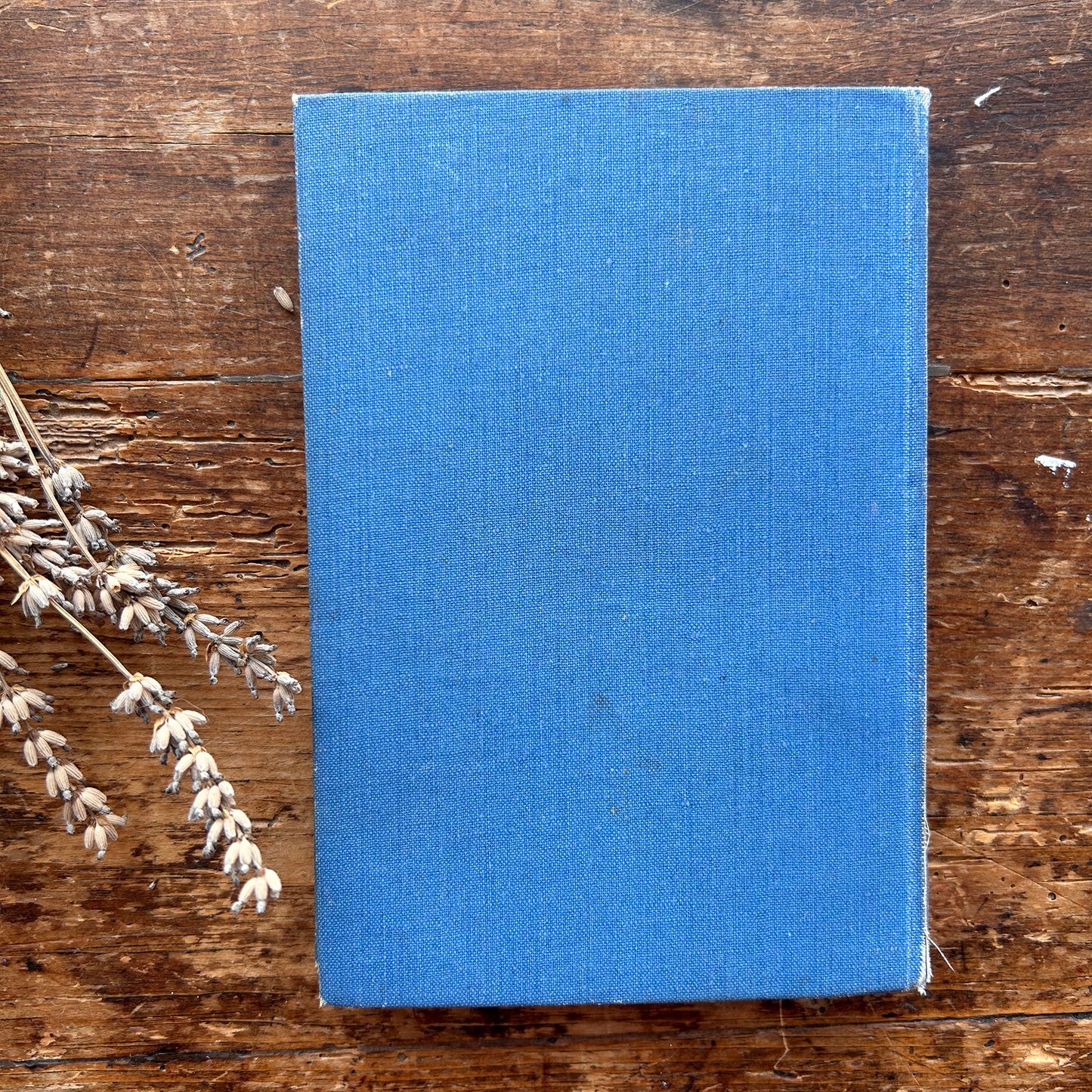 William Jones - Nofel Gan T. Rowland Hughes - 1944 1st edition (Preloved)