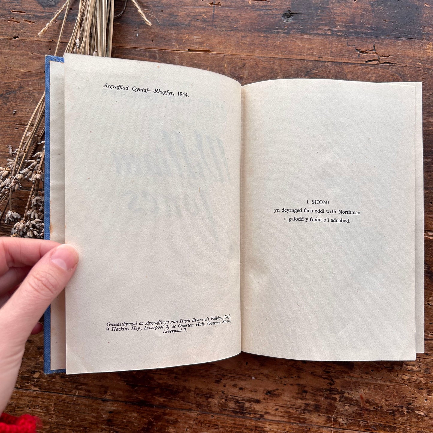 William Jones - Nofel Gan T. Rowland Hughes - 1944 1st edition (Preloved)