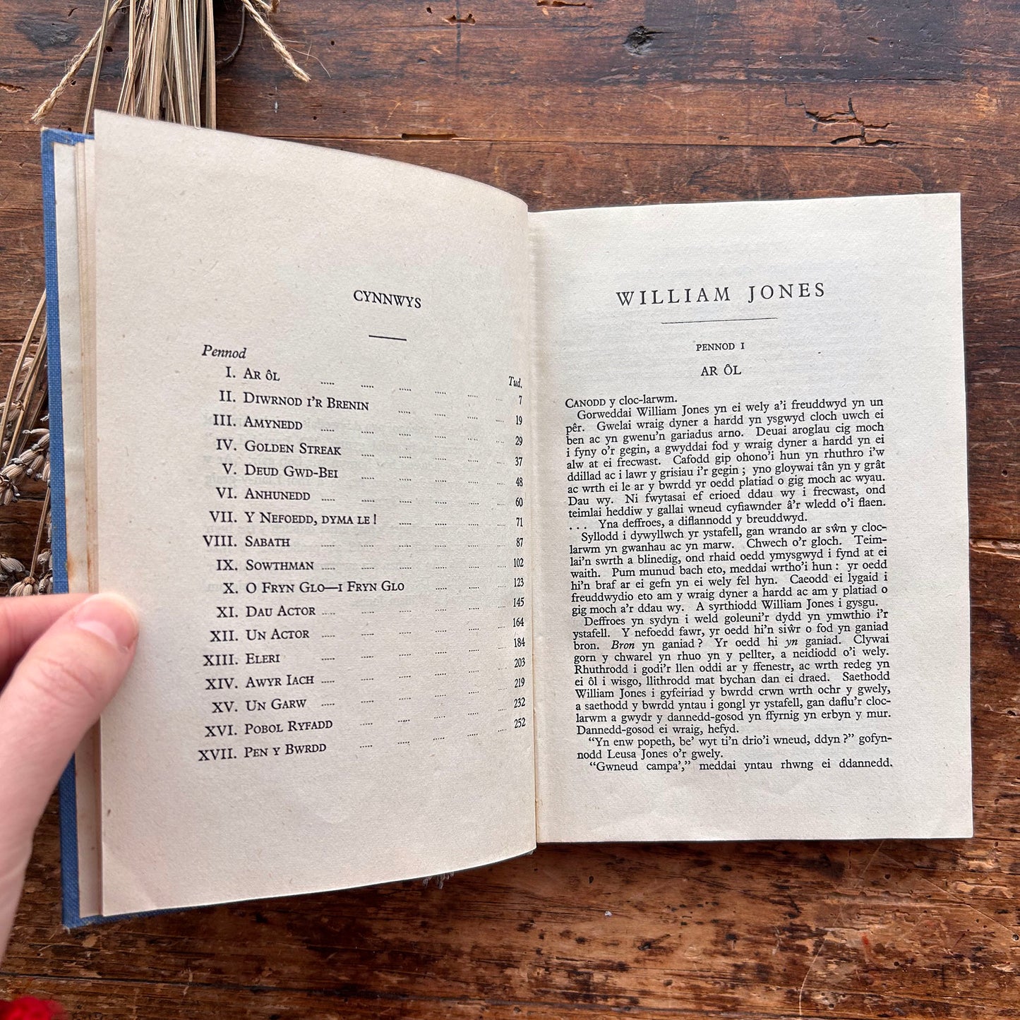 William Jones - Nofel Gan T. Rowland Hughes - 1944 1st edition (Preloved)