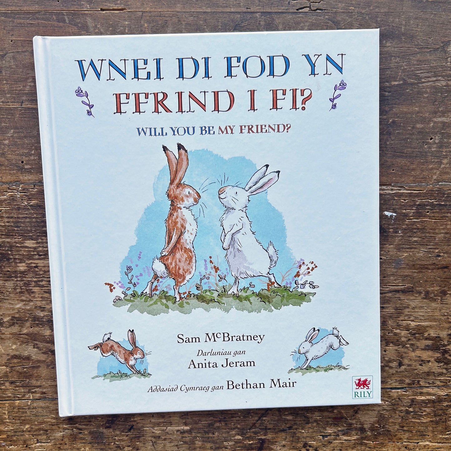 Wnei Di Fod Yn Ffrind I Fi? - Sam McBratney / Bethan Mair (Preloved)