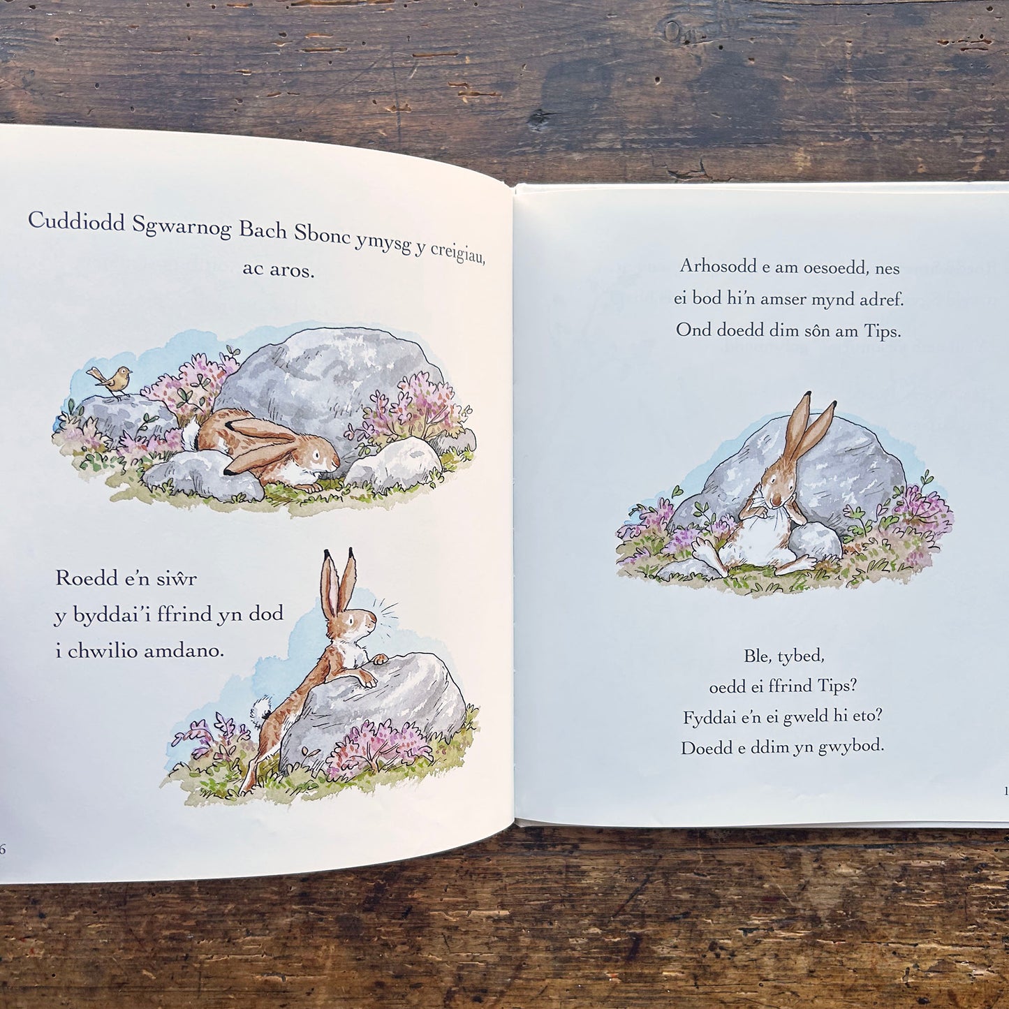 Wnei Di Fod Yn Ffrind I Fi? - Sam McBratney / Bethan Mair (Preloved)
