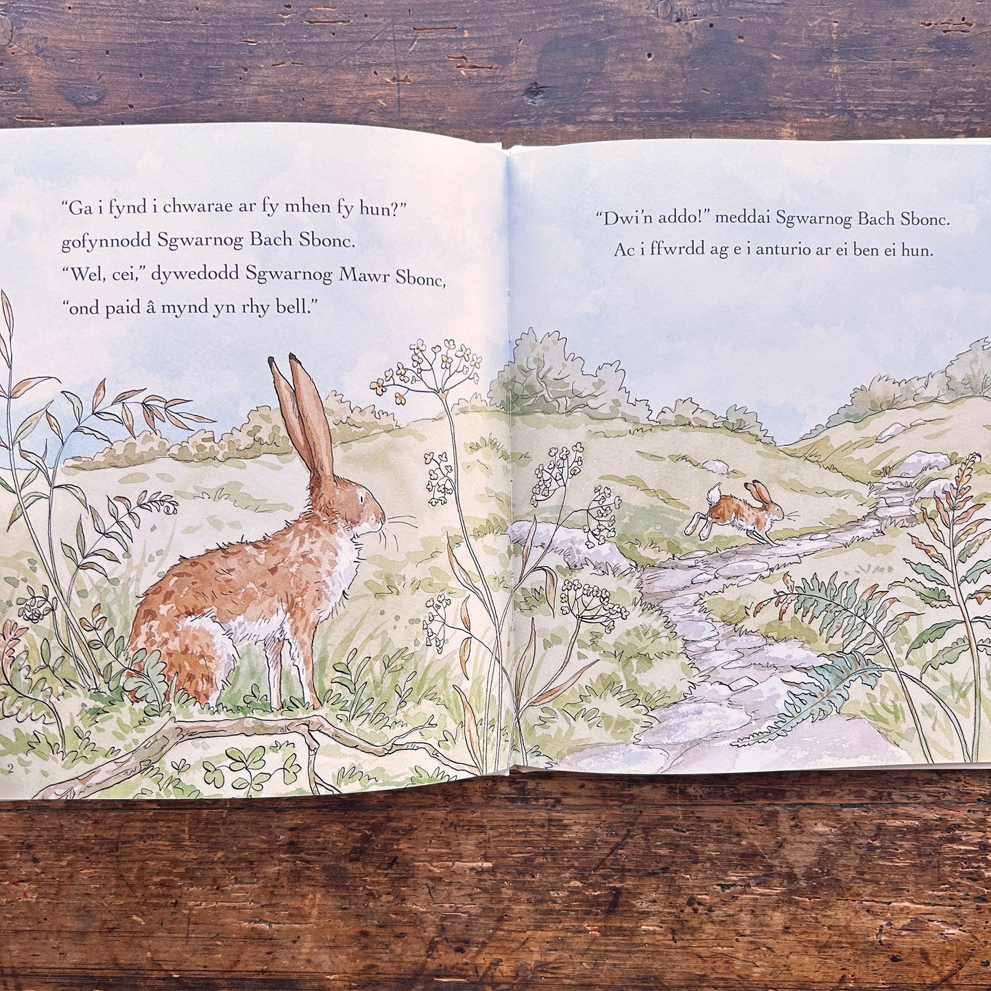 Wnei Di Fod Yn Ffrind I Fi? - Sam McBratney / Bethan Mair (Preloved)