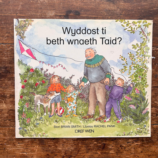 Wyddost Ti Beth Wnaeth Taid? Brian Smith - 1991 (Preloved)