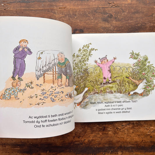 Wyddost Ti Beth Wnaeth Taid? Brian Smith - 1991 (Preloved)