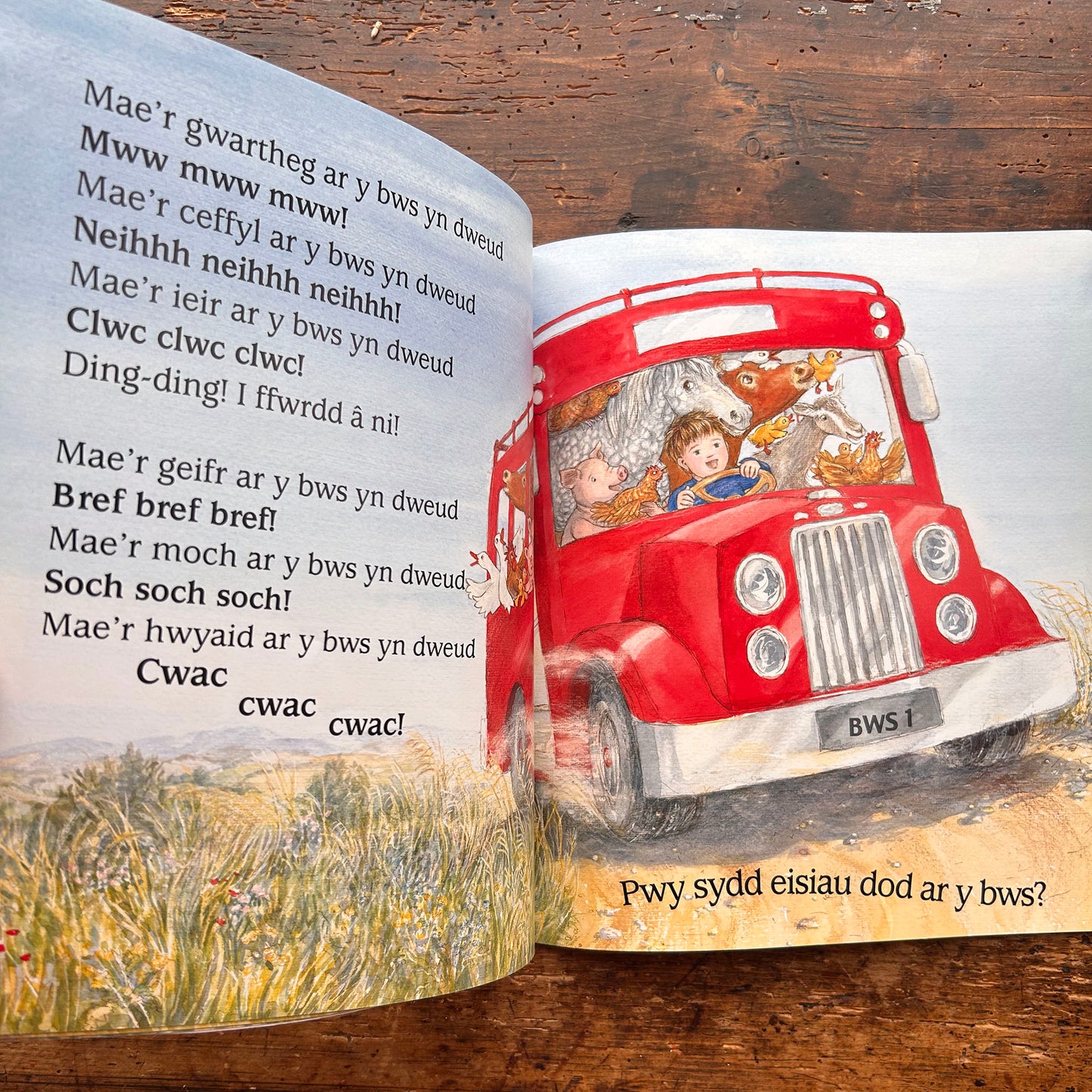 Y Bachgen Ar Y Bws - Penny Dale - 2007 (Preloved)