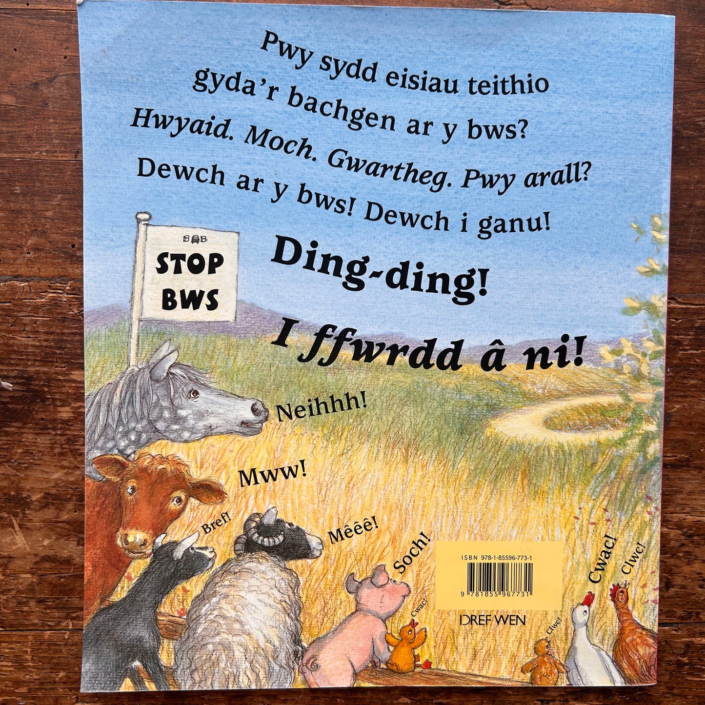 Y Bachgen Ar Y Bws - Penny Dale - 2007 (Preloved)